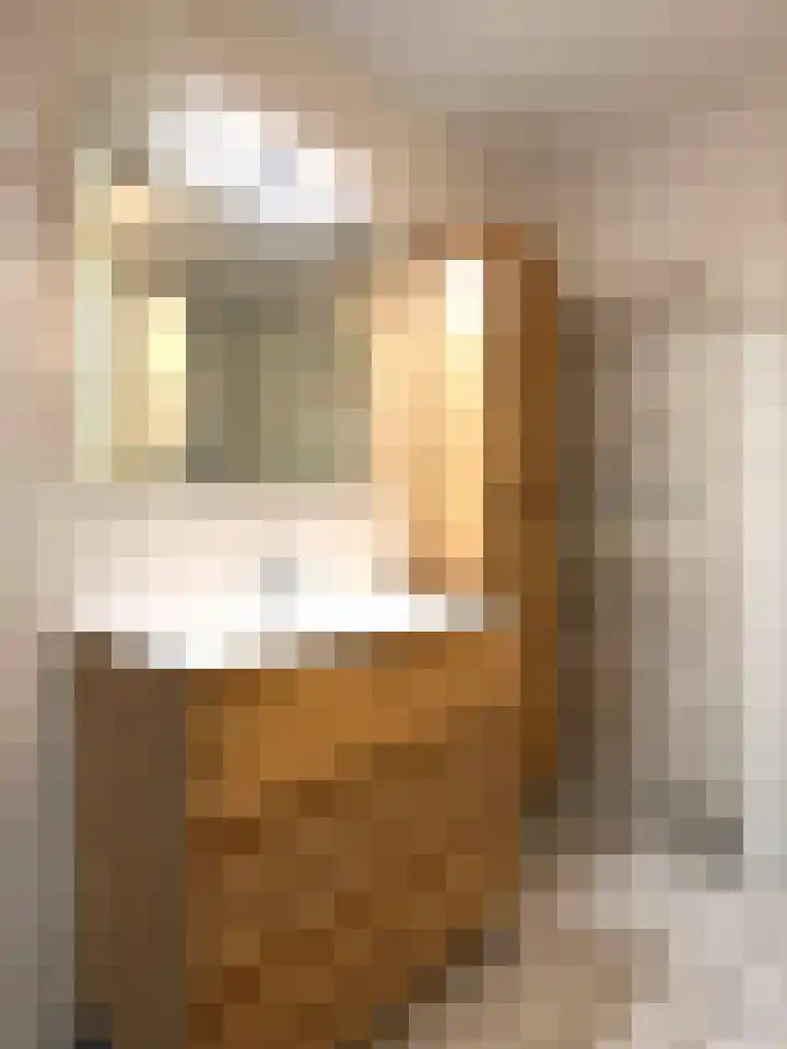 Terschellingkade 21 Woerden thumbnail 21