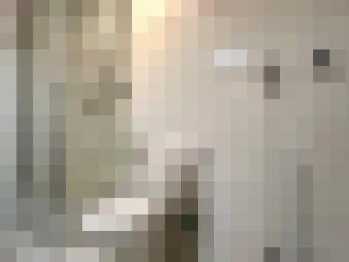 Terschellingkade 21 Woerden thumbnail 22