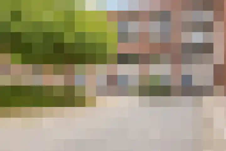 Terschellingkade 21 Woerden thumbnail 28