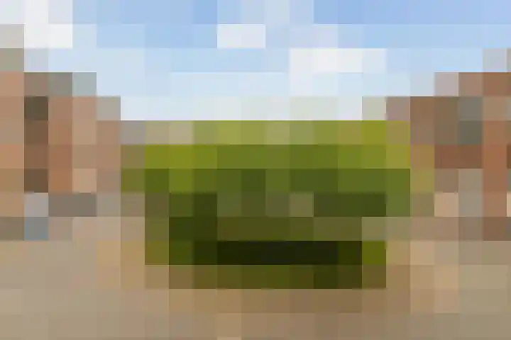 Terschellingkade 21 Woerden thumbnail 29