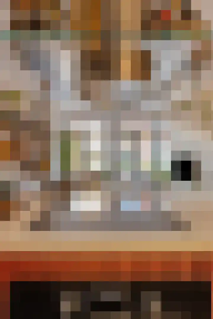 Terschellingkade 248 Amersfoort thumbnail 9