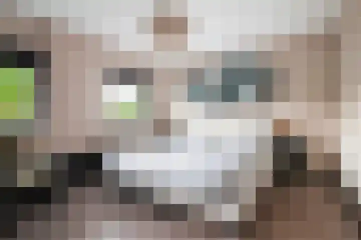Terschellingkade 26 Woerden thumbnail 11