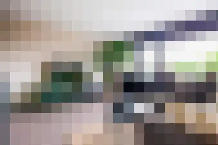 Terschellingkade 26 Woerden thumbnail 16
