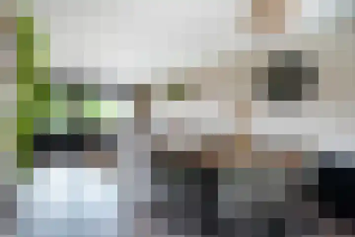 Terschellingkade 26 Woerden thumbnail 25