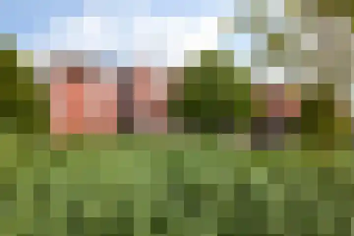 Terschellingkade 26 Woerden thumbnail 28