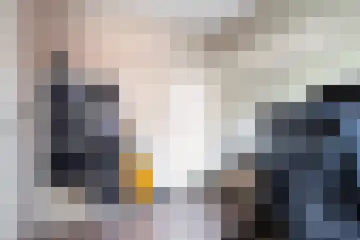 Terschellingkade 26 Woerden thumbnail 7