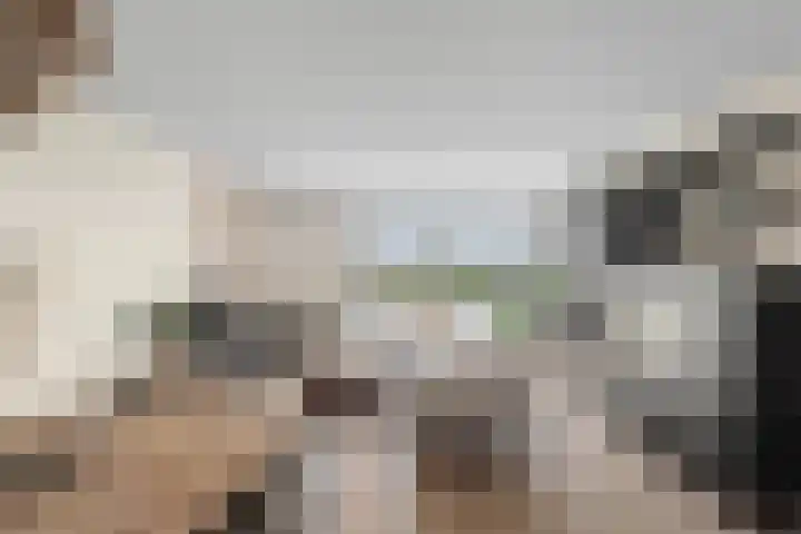 Terschellingkade 88 Woerden thumbnail 15
