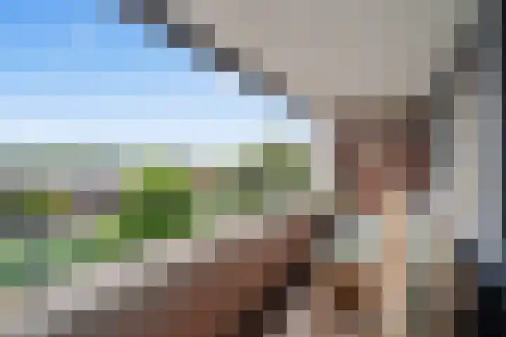 Terschellingkade 88 Woerden thumbnail 30