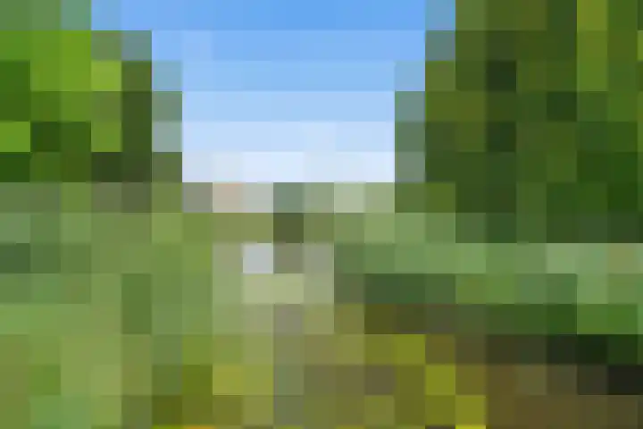 Terschellingkade 88 Woerden thumbnail 37