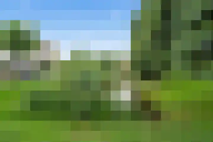 Terschellingkade 88 Woerden thumbnail 38