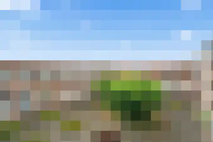 Terschellingkade 88 Woerden thumbnail 7