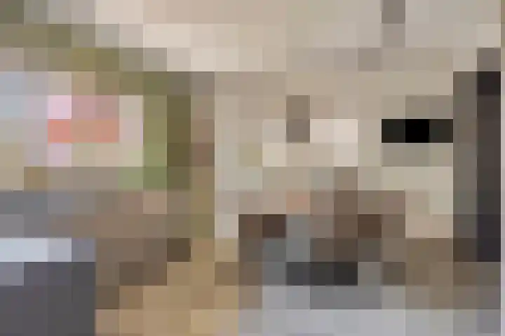 Terts 21 Kampen thumbnail 14