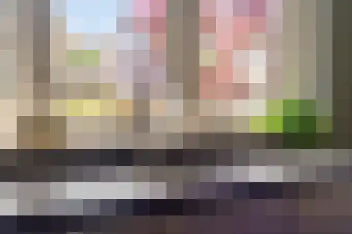 Terts 21 Kampen thumbnail 15