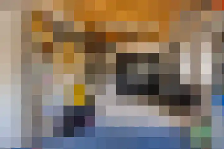 Terts 21 Kampen thumbnail 18