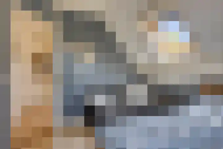 Terts 21 Kampen thumbnail 25