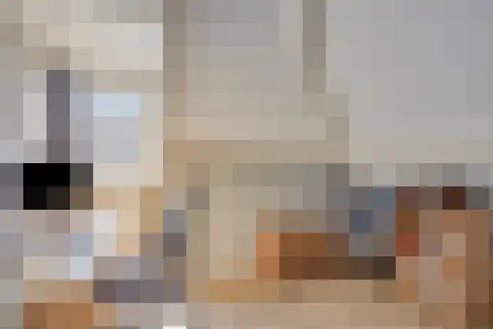 Terts 21 Kampen thumbnail 26