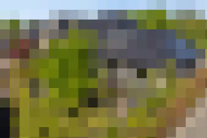 Terts 21 Kampen thumbnail 31