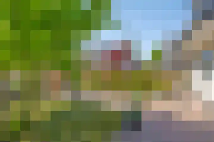 Terts 21 Kampen thumbnail 32