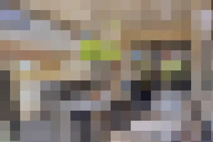Terts 21 Kampen thumbnail 33