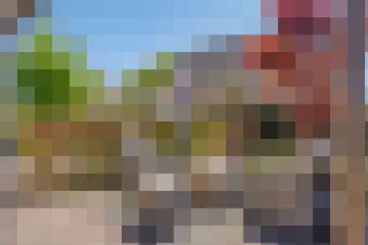 Terts 21 Kampen thumbnail 35