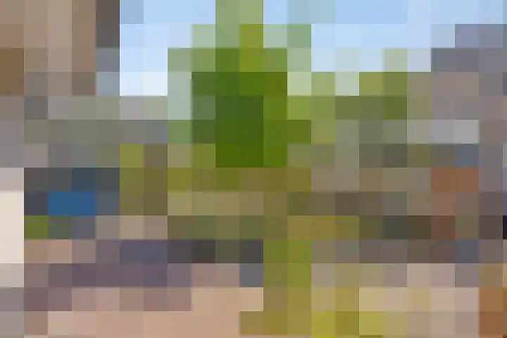 Terts 21 Kampen thumbnail 36