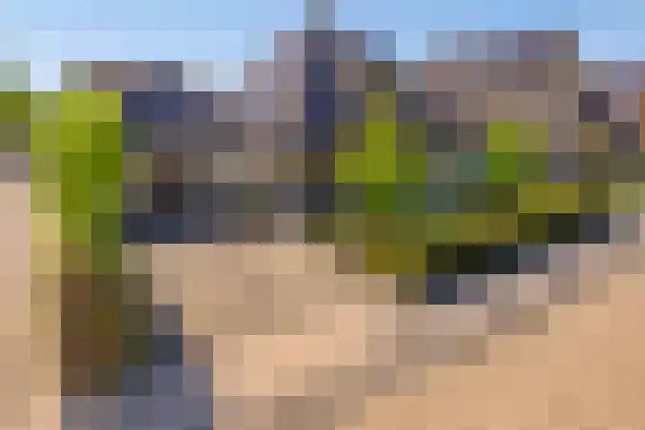 Terts 21 Kampen thumbnail 38