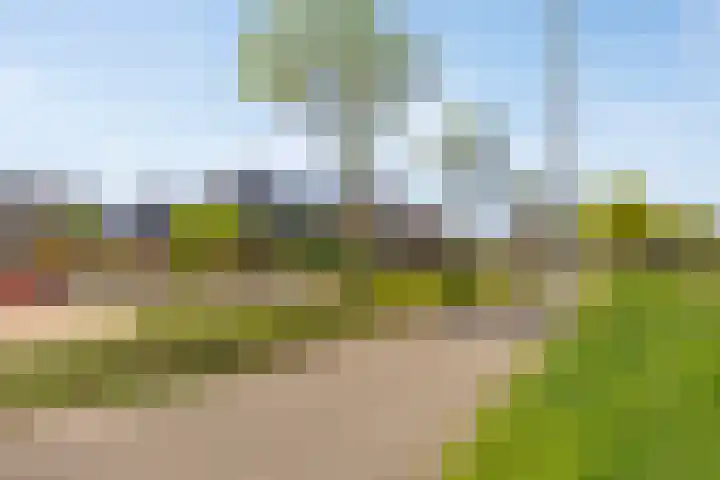 Terts 21 Kampen thumbnail 39