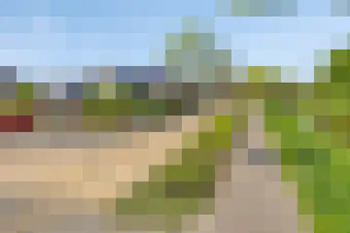 Terts 21 Kampen thumbnail 4
