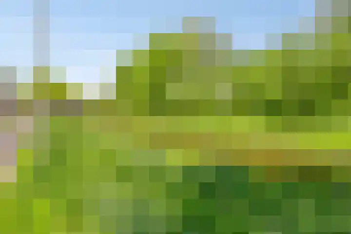 Terts 21 Kampen thumbnail 40