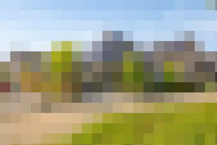 Terts 21 Kampen thumbnail 44