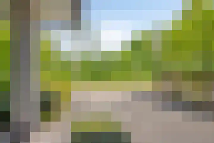Terts 21 Kampen thumbnail 5