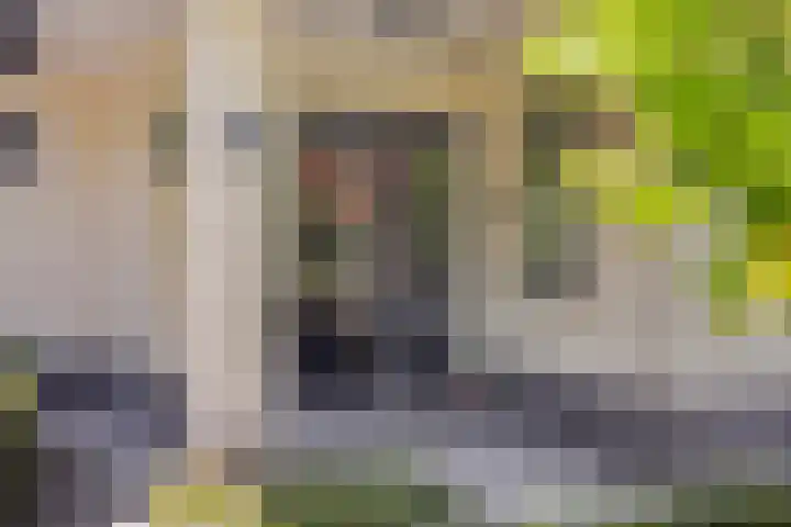 Terts 21 Kampen thumbnail 6