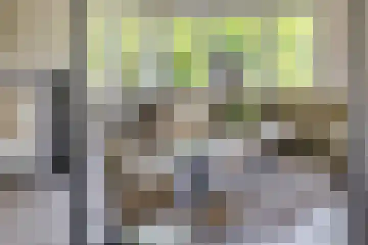 Terts 21 Kampen thumbnail 8