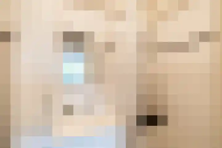 Terwaenen 33 Oss thumbnail 13