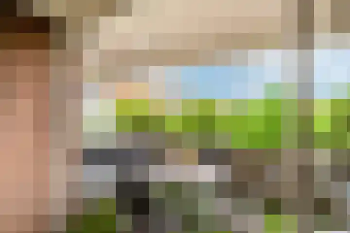 Terwaenen 33 Oss thumbnail 14