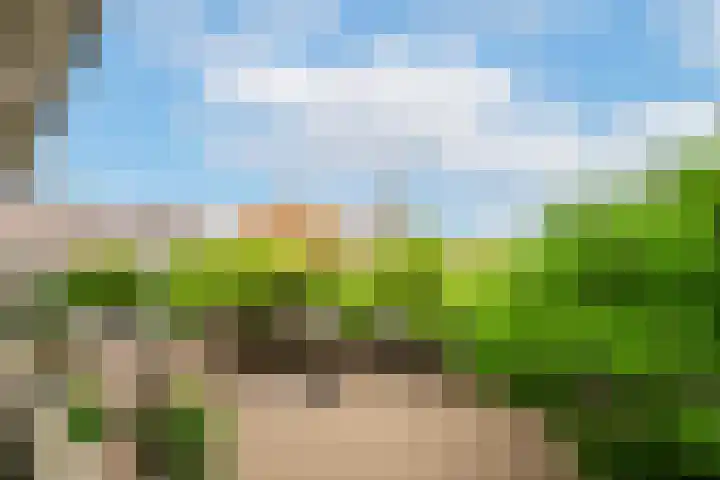 Terwaenen 33 Oss thumbnail 16