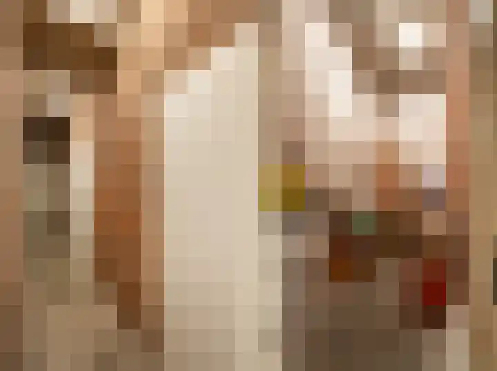 Terwaenen 33 Oss thumbnail 17