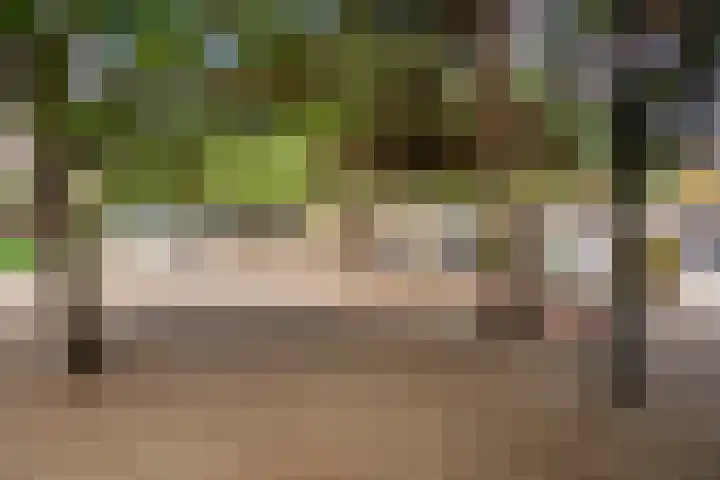 Terwaenen 33 Oss thumbnail 19