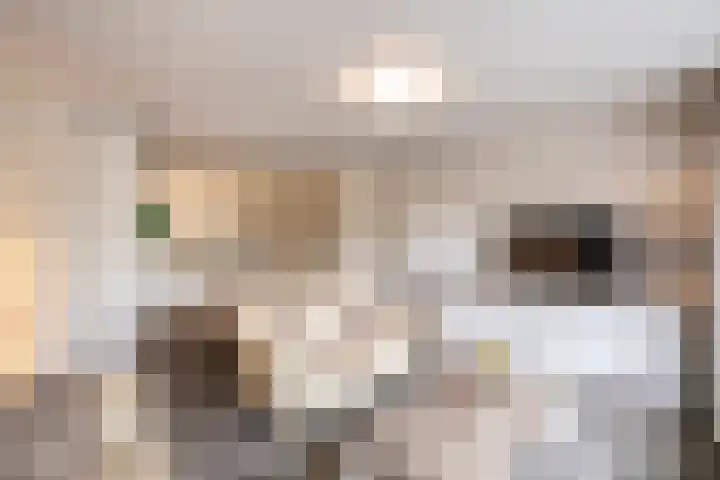 Terwaenen 33 Oss foto 2
