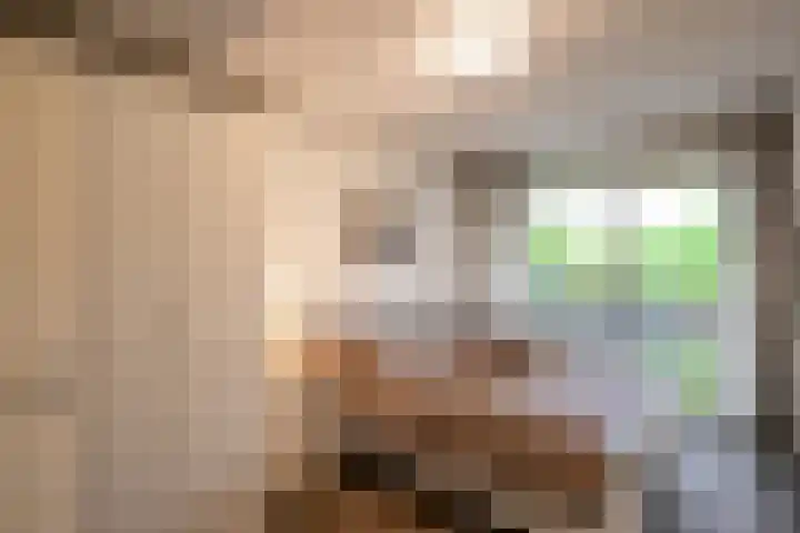 Terwaenen 33 Oss foto 3