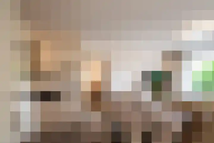 Terwaenen 33 Oss thumbnail 7