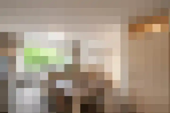 Terwaenen 33 Oss thumbnail 8