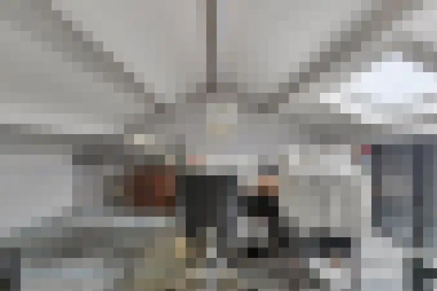 Terwaenen 35 Oss thumbnail 13