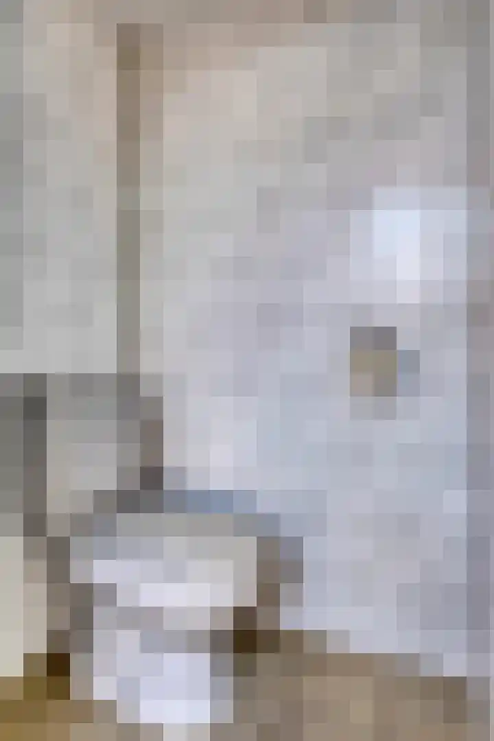 Terwaenen 35 Oss thumbnail 14