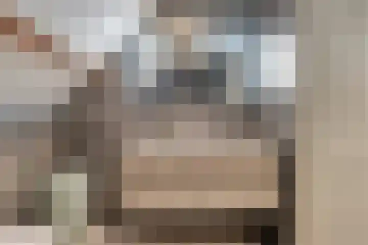 Terwaenen 35 Oss thumbnail 15
