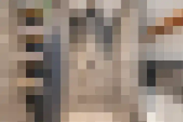 Terwaenen 35 Oss thumbnail 16
