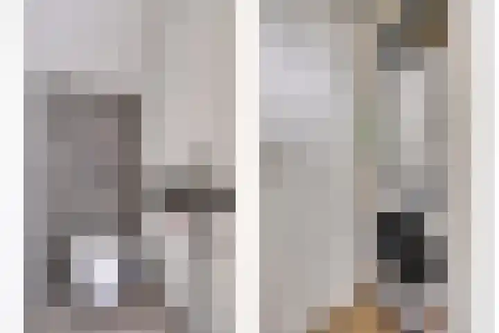 Terwaenen 35 Oss thumbnail 17