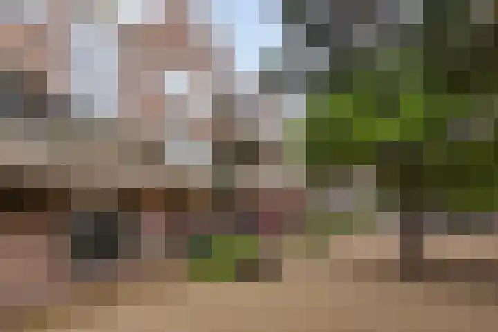 Terwaenen 35 Oss thumbnail 21