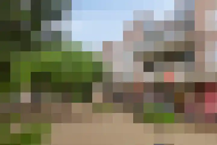 Terwaenen 35 Oss thumbnail 22