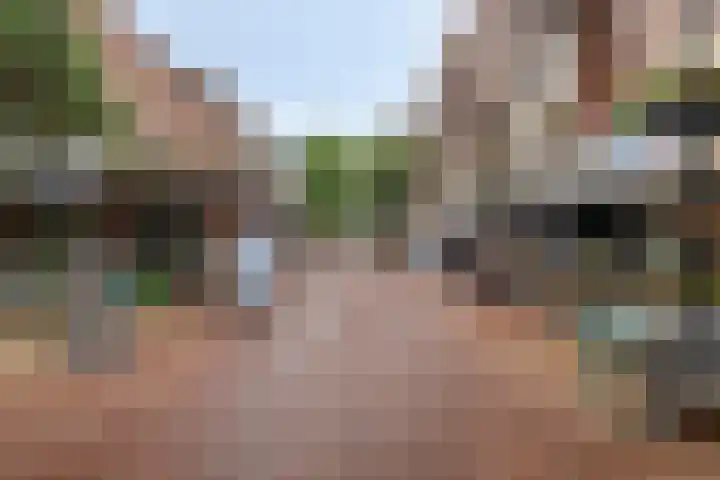 Terwaenen 35 Oss thumbnail 23